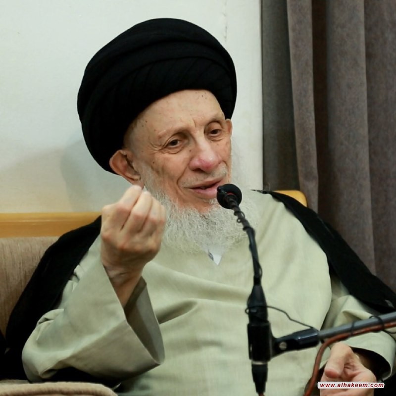 His Eminence Sayyid al-Hakeem calls the Turkish Alawite community to establish brotherly ties with other communities, and to learn the teachings of Islam and abide by them